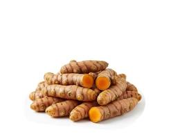 Curcuma